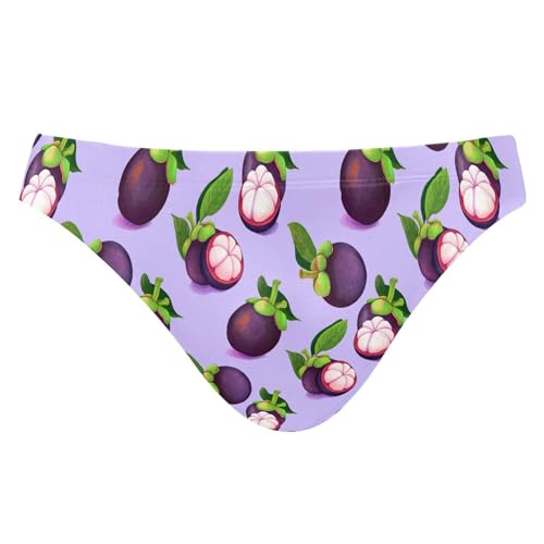 Purple Mangosteen Fruit Swim Briefs for Men Swimsuit Bikini Swimwear XXXL B0405140