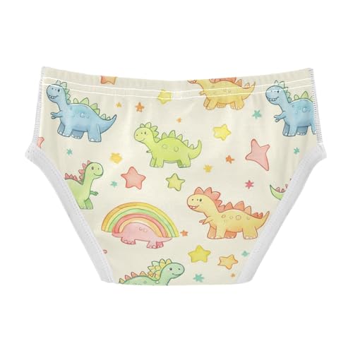 Wusikd Colorful Dinosaurs Boys' Underwear Cotton Rainbow Stars Boys Briefs Soft Toddler Underwear 2T2
