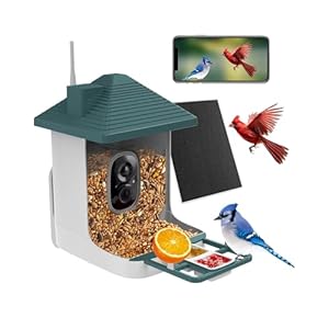 Smart Bird Feeder with CameraAI Identify Bird SpeciesBird House with Solar PoweredInstant Arrival Alerts2K Capture Bird VideoLive View for Birds Lover Blackish Green