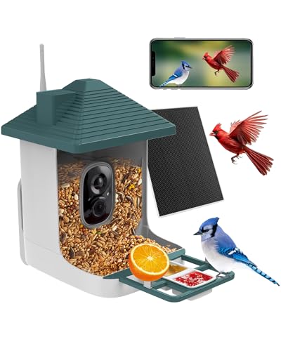 Bird Feeder with CameraSmart Watching BirdsAI Identify Bird Species with Solar Panel64GB Card Auto Record Video2K Capture Bird VideoIdeal Gifts for Family and Bird Lovers Green64G Card
