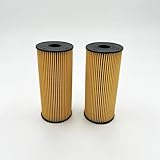 2x Oil Filter for ISUZU NPR Eco-Max Reach 4JJ1 3,0L 11-18