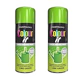 PNJB Lime Green All Purpose Aerosol Spray Paint, Quick Drying Spray, Versatile, Fast Dry And Excellent Coverage For Metal, Wood, Plastic, 400ML (2PCS)