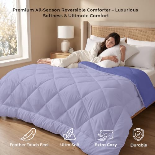 Image of AYKA Reversible Comforter 220 GSM Microfiber Reversible AC Comforter /Blanket for Winter /Quilt /Duvets for King Size Double Bed Comforter (Lavender & Blueberry, Single)