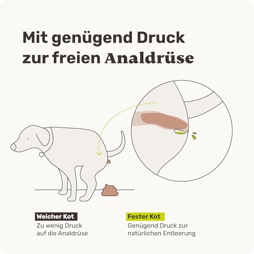 9 in 1 Analdrüsen Leckerli für Hunde mit Ballaststoffen - Easy Squeezy 120 Snacks (350g) von mammaly - gegen verstopfte Analdrüse - für festen KOT und natürliche Analdrüsenentleerung für deinen Hund