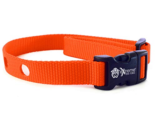 Extreme Dog Fence Dog Collar Replacement Strap - Bright Orange - Compatible With Nearly All Brands And Models Of Underground Dog Fences #TOP24