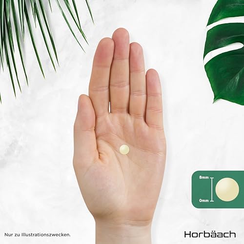 Vitamin B Komplex Hochdosiert | Alle 8 B-Vitamine: B1, B2, B3, B5, B6, B7, B9 und B12 | 1 Jahr Vorrat - 365 Vegane Tabletten | von Horbaach