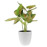POPETPOP Planta Bonsái Artificial Realista Maceta Verde para Decoración de Oficina y Hogar Simulación de Begonia Falsa Sin Mantenimiento Uso Interior y Exterior