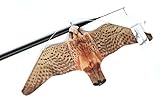 Remi Hogar Halcón Espantapájaros Profesional para ahuyentar pájaros con garantía de fabricación EU | Pértiga de 7 Metros