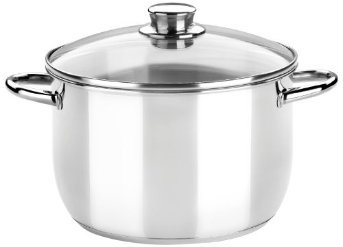 Monix Optima - Olla Vapor de 20 cm, con Tapa de Cristal de Acero Inoxidable 18/10, Apta para Todo Tipo de cocinas Incluidas de inducción (Braisogona_M453901)