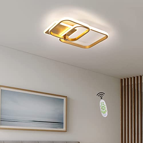 Qendsx Luz De Techo De Luz Led De Dormitorio Luz De Techo Moderno Moderno con Sala De Estar De Control Remoto Corredor De Cocina Corredor Balcón De Baño Ligera De Interior Plaza Dor(Size:43cm) Cover