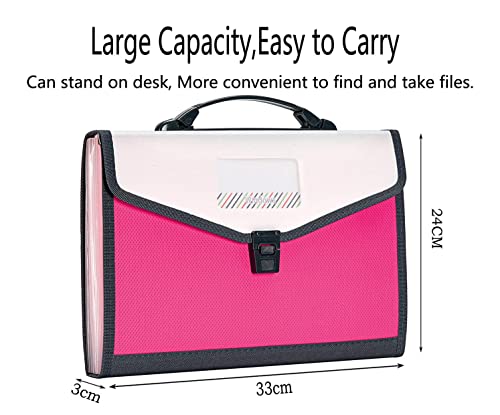 Cartella Portadocumenti A4,13 Tasche Espandibile