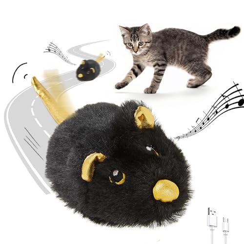 Souris mobile rechargeable pour chat d'intérieur contre l'ennui