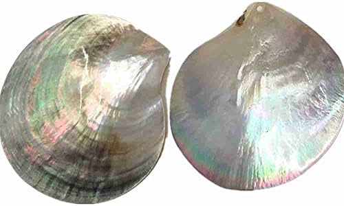HUANGA 1Pc Natural Seashells Black Butterfly Shell Jewelry DIY Shell Nautical Beach Decor Scallop Specimen Craft Gift Home Fish Tank Marine Decoration Ornament