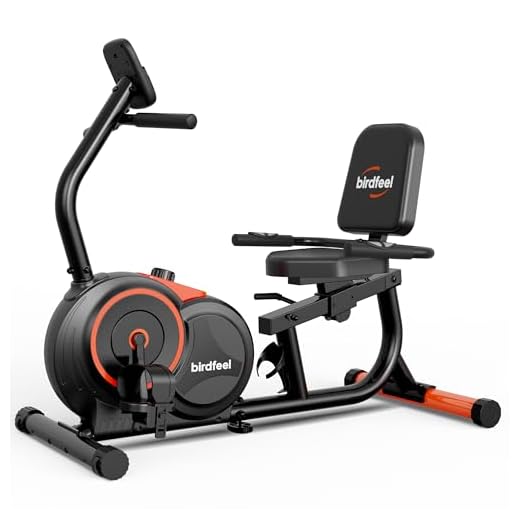 Recumbent Exercise Bike for Home,Recumbent Stationary Bikes for Adults & Seniors,Load Capacity of 400 pounds,Equipped with 16 Adjustable Gears, and Soft Adjustable Seats