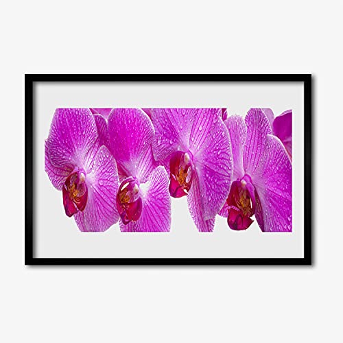 Affiche avec cadre salon déco nature et fleurs sauvages 60x40 cm