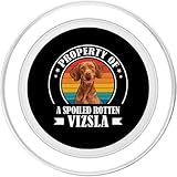 Zoom IMG-1 funny retro vintage property of