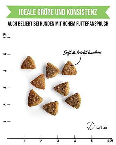 Tales & Tails Lamm Ba Zamba Halbfeuchtes Trockenfutter für Hunde | Getreidefrei | Mit 75% Lamm Als Tierische Proteinquelle | Nur 6 Zutaten | Hohe Verträglichkeit | 4kg