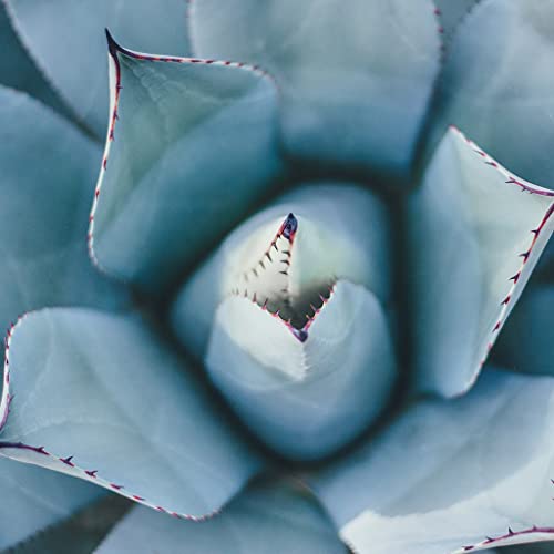 God's Plan is Working