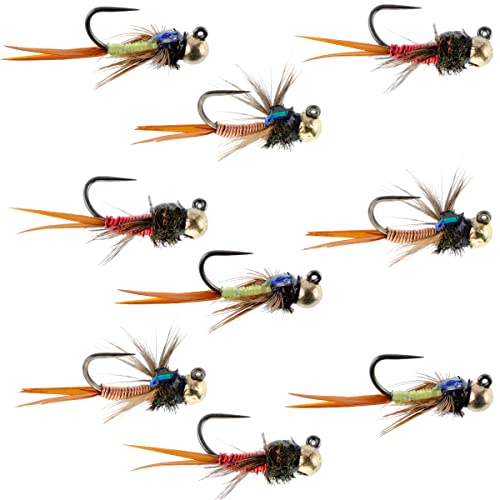The Fly Fishing Place Tactical Tungsten Bead Head Copper John Euro Nymph Assortment Fly Fishing Flies - Collection of 9 Flies Hook Size 16