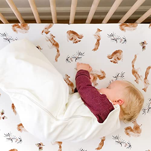 Stretchy Ultra Soft Jersey Knit Fitted Pack N Play Sheets Set 2 Pack, Portable/Mini Crib Sheets For Boys And Girls, Cute Jungle Squirrels And Animals #TOP2