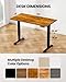 ErGear Height Adjustable Electric Standing Desk, 55 x 28 Inches Sit Stand up Desk, Memory Computer Home Office Desk (Vintage Brown)