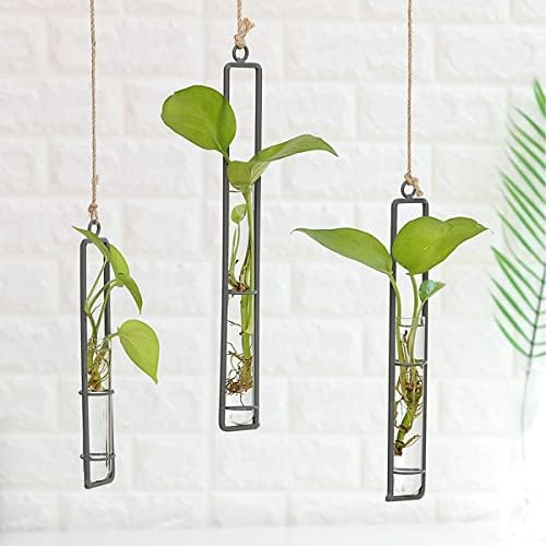 Wrought Iron Glass Vase,Tianher 4 Pcs Black Wall Hanging Plants Glass Vases Wrought Iron Test Tube Suitable for Wall Decoration Vases for Small Dried Flowers and Hydroponic Green Plants