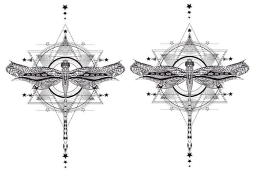 2 hojas de libélula temporal tatuaje gráfico tatuaje insectos tatuaje AL006x2