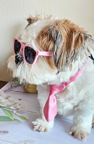 Set de Disfraz Retro para Perros Pequeños con Lentes y Corbata miniatura 3