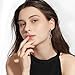 Crystal Drop Earrings,Zirconia Rhinestone Dangling Earrings for Women Prom Party Jewelry Gifts， Dangle Fashion Jewelry Crystal Earrings for Women (black silvery)