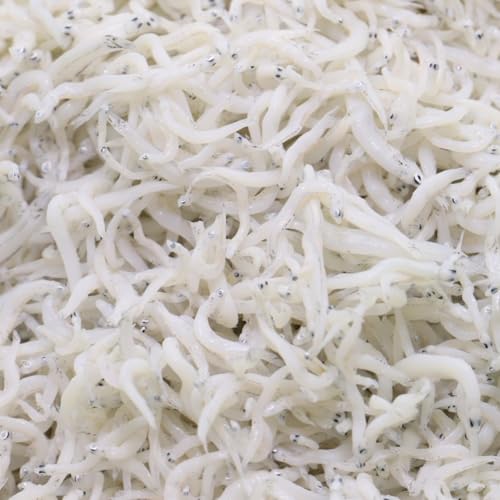 ちりめん 3種セット 合計約920g 釜揚げ 釜出し 上乾 しらす 高知県 香南市