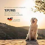 TJURE Ulmenrinde Liquid für Hunde & Katzen | 500 ml | Natürliche Magen Darm Unterstützung | Flüssige Ulmenrinde mit Honigkraut | Ohne Aufkochen | Naturkraft ohne Zusätze | Made in Germany