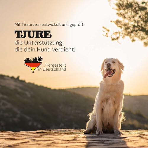 TJURE Ulmenrinde Liquid für Hunde & Katzen | 500 ml | Natürliche Magen Darm Unterstützung | Flüssige Ulmenrinde mit Honigkraut | Ohne Aufkochen | Naturkraft ohne Zusätze | Made in Germany
