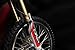 Lifan KPX 250 Dual Sport Motorcycle XL Enduro Street Legal Dirt Bike RPS Hawk KLX 250cc Fuel Injected EFI LIFAN - RED