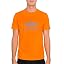 Alpha Orange