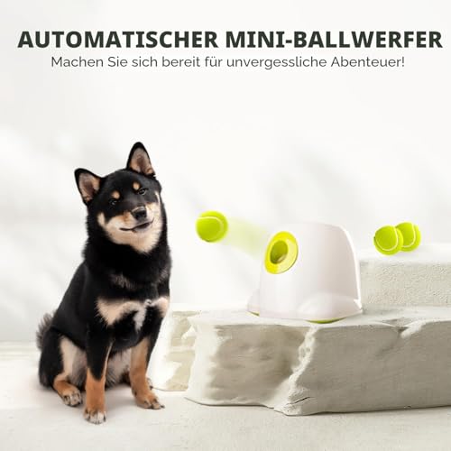 ALL FOR PAWS Automatischer Ballwerfer für Hunde – Interaktive Ballwurfmaschine mit 3Pcs 2' Tennisbällen, für kleine & mittlere Hunde, Hundespielzeug, Interaktives Hundespielzeug