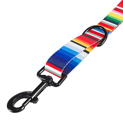 Hooey Nomad Dog Leash, Durable Polyester Webbing Leash With Graphic-Inspired Prints, Serape Tijuana, 6' #TOP3