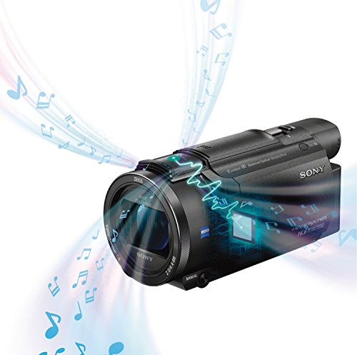 Sony FDRAX53/B 4K HD Video Recording Camcorder (Black)