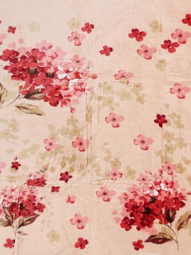 Image of Monte Carlo Double Bed Heavy Winter Blanket (160 X 220) Roman Plus 1 Ply Super Soft 550 GSM | 3 KG, (240x220 CM), Beige