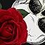 Skulls and Roses