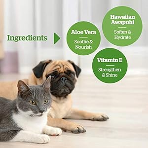Pogi's Grooming Wipes Home & Travel Bundle - 100-Count Grooming Wipes for Home and 240-Count Packs for Travel Pogi’s Grooming Wipes Home & Travel Bundle – 100-Count Grooming Wipes for Home and 240-Count Packs for Travel