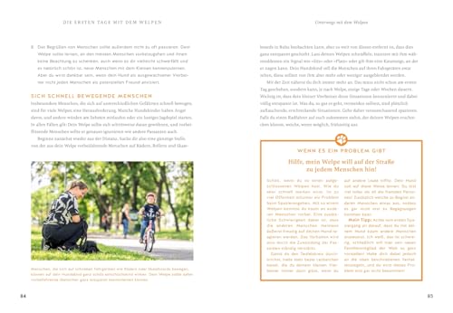 Der Welpen-Alltags-Helfer: Erziehung, Training und Probleme souverän meistern - stressfrei durch die erste Zeit mit jungem Hund (GU Welpen)