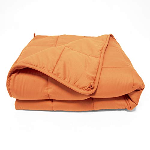 Superior Quilted Microfiber Weighted Throw Blanket #TOP17