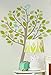 Lolli Living Wall Decal Set, Tweets In Tree (Discontinued by Manufacturer)