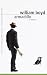 Armadillo: A Novel (Vintage International)
