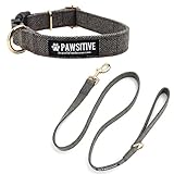 Pawsitive Wool Dog Collar - Hypoallergenic Dog Collar, Great Dog Collar for Sensitive Skin, Soft Collar for Dogs, Soft Organic Dog Collar Eco-Friendly (Large, Gray & Leash)