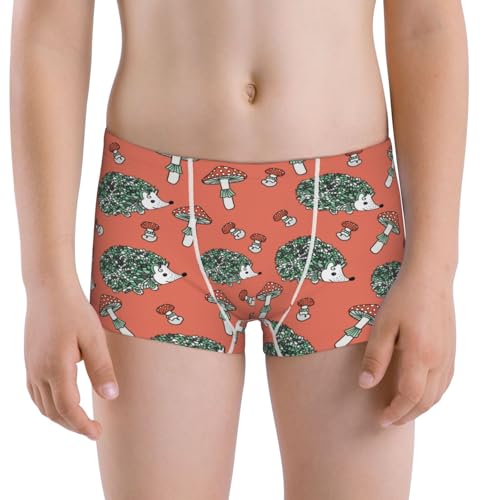 Boys' Cotton Boxer Brief Soft Underwear-Hedgehog Mushroom