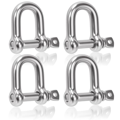 Manille lyre M10 en acier inoxydable 304 Swpeet pour levage