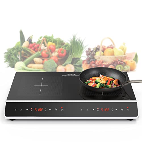 Top 10 Best Portable Electric Hot Plate Reviews & Buying Guide Katynel
