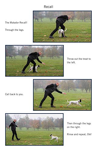 Easy Peasy Puppy Squeezy: Your Simple Step-By-Step Guide To Raising And Training A Happy Puppy #TOP2