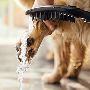   hansgrohe-Outdoor-Pet-Shower-with-Quick-Connect-3-Spray-Fur-Spray-Leg-Spray-Paw-Spray-in-Black-04973670